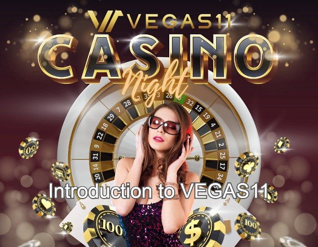Introduction to VEGAS11